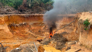 Garimpo Ilegal na Terra Indígena Yanomami