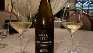 vinho uva Riesling - exclusivo Coluna Esper