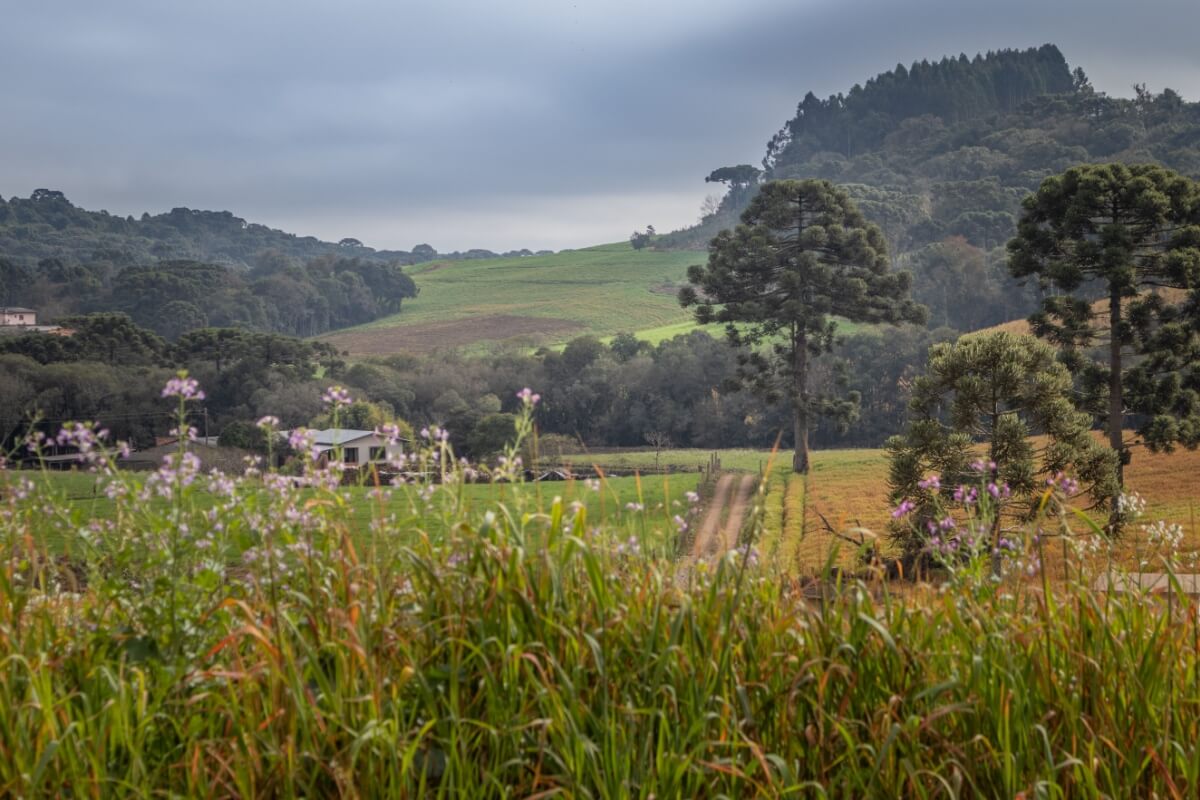 6 destinos para curtir o frio no Brasil